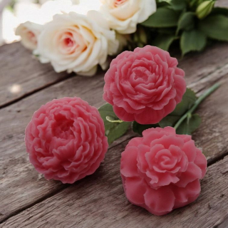 Vonný vosk - mini růže sada 008